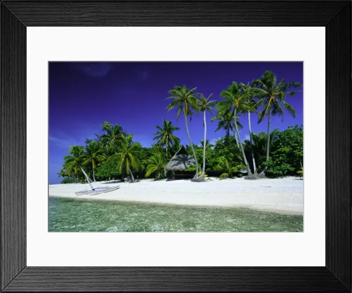 Framed Print : Beach and palm trees Framed Print : Beach and palm trees