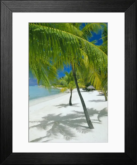 Framed Print : Beach, Bora Bora (Borabora) Framed Print : Beach, Bora Bora (Borabora)