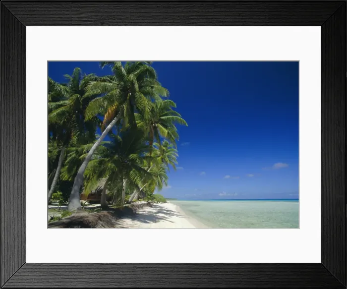 Framed Print : Beach, Rangiroa Atoll