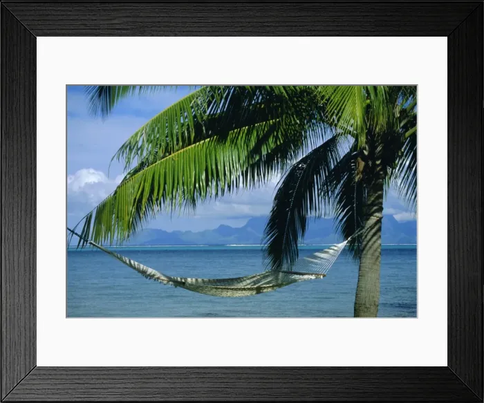 Framed Print : Hammock, Tahiti Framed Print : Hammock, Tahiti
