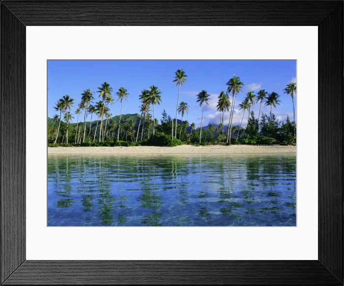 Framed Print : East coast Framed Print : East coast