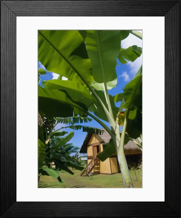 Framed Print : La Maison du Jouir (House of Pleasure) Framed Print : La Maison du Jouir (House of Pleasure)