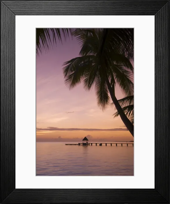 Framed Print : Rangiroa, Tuamotu Archipelago Framed Print : Rangiroa, Tuamotu Archipelago