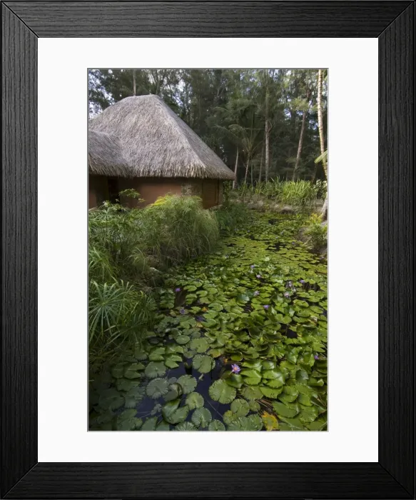 Framed Print : Spa, Pearl Beach Resort Framed Print : Spa, Pearl Beach Resort