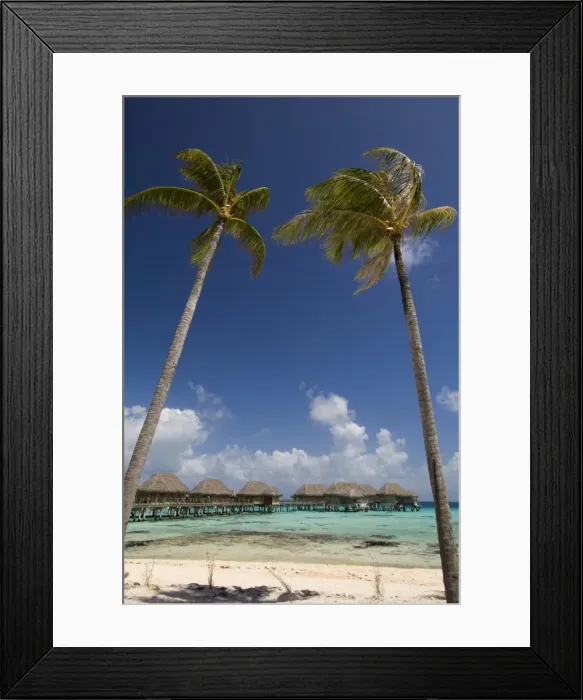 Framed Print : Pearl Beach Resort Framed Print : Pearl Beach Resort