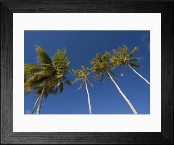 Framed Print : Fakarawa, Tuamotu Archipelago Framed Print : Fakarawa, Tuamotu Archipelago