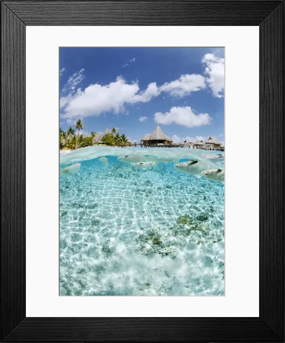 Framed Print : Le Maitai Hotel, Fakarawa, Tuamotu archipelago, French Polynesia Framed Print : Le Maitai Hotel, Fakarawa, Tuamotu archipelago, French Polynesia
