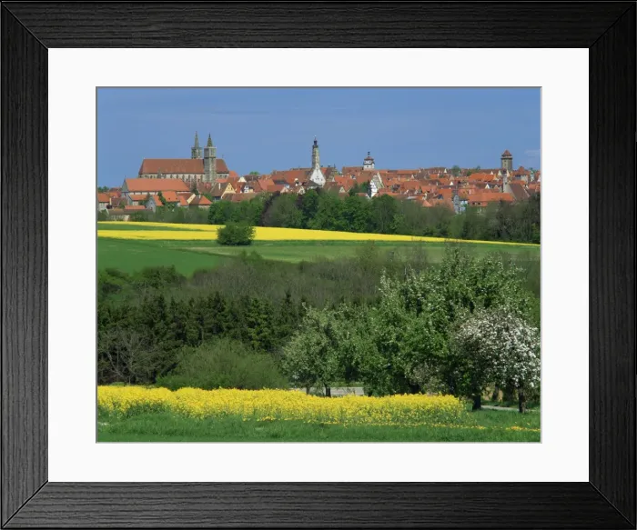 Framed Print : Fields and trees in front of the town skyline of Rothenburg Framed Print : Fields and trees in front of the town skyline of Rothenburg