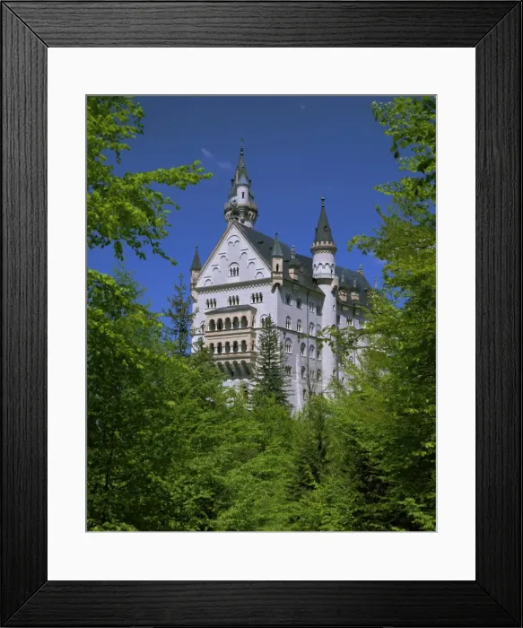 Framed Print : Royal castle Framed Print : Royal castle