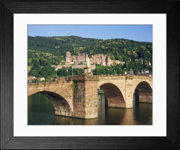 Framed Print : Castle, Neckar River and Alte bridge Framed Print : Castle, Neckar River and Alte bridge