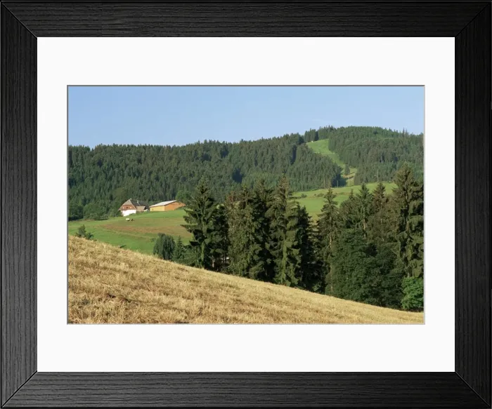 Framed Print : Landscape in the Black Forest (Schwarzwald) Framed Print : Landscape in the Black Forest (Schwarzwald)