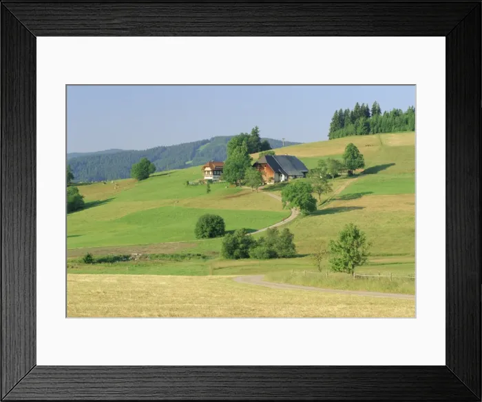 Framed Print : Scene in the Black Forest (Schwarzwald) Framed Print : Scene in the Black Forest (Schwarzwald)