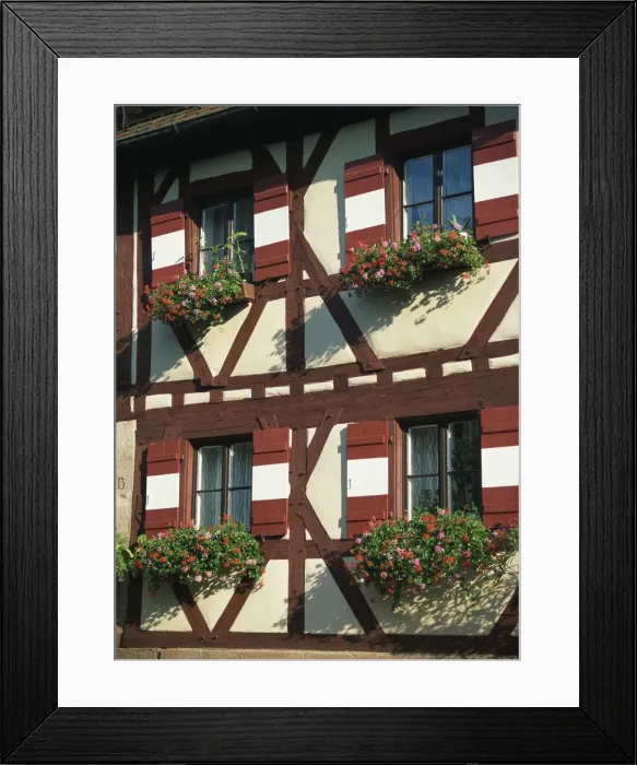 Framed Print : Flower baskets on half-timbered wall Framed Print : Flower baskets on half-timbered wall