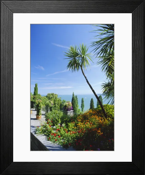 Framed Print : Tropical gardens Framed Print : Tropical gardens
