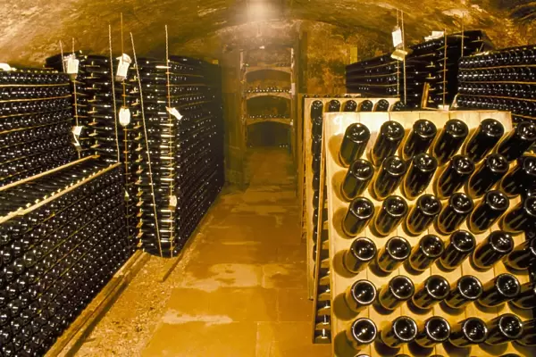 Cellar, champagne production