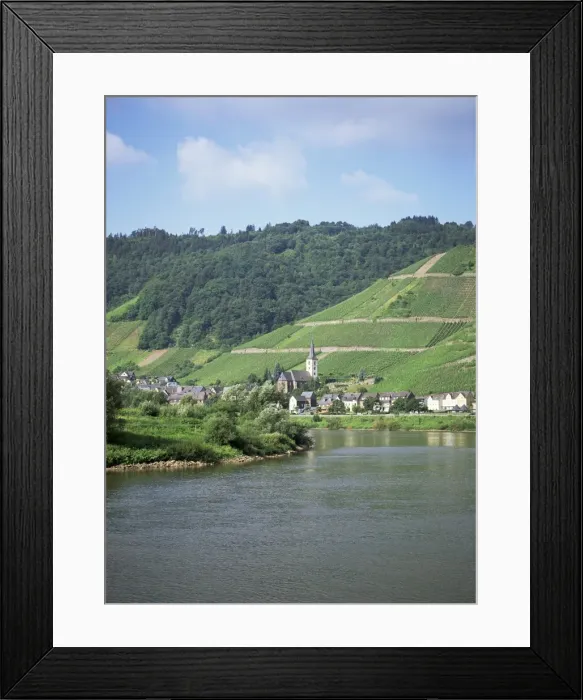 Framed Print : River Mosel Framed Print : River Mosel