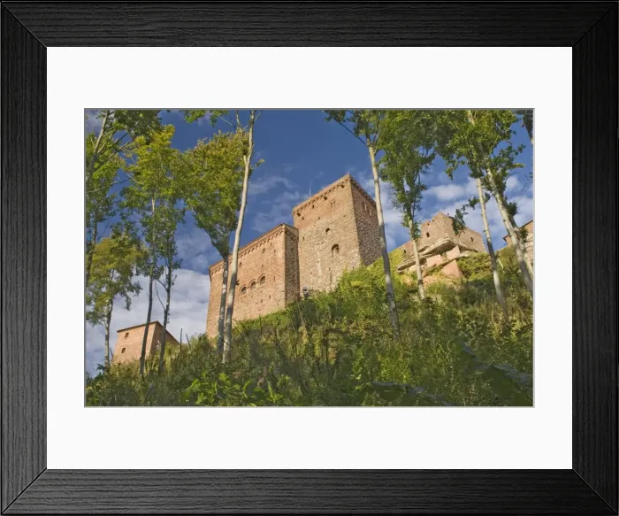 Framed Print : Trifels Castle Framed Print : Trifels Castle