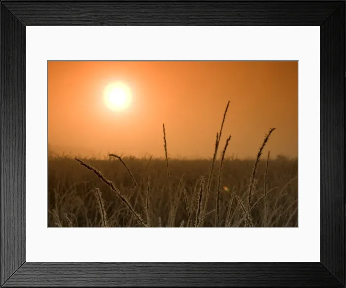 Framed Print : Sunrise in the fen