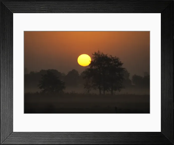 Framed Print : Sunrise, Fischland Framed Print : Sunrise, Fischland