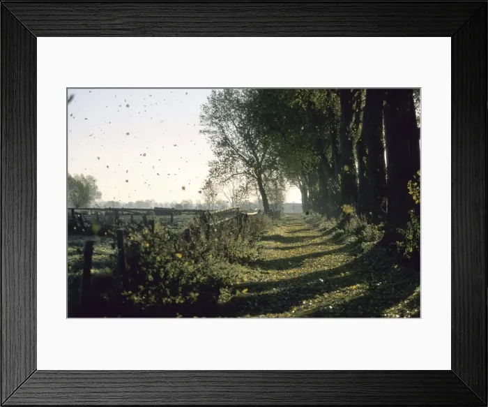 Framed Print : Fall time, Hiller Moor Framed Print : Fall time, Hiller Moor