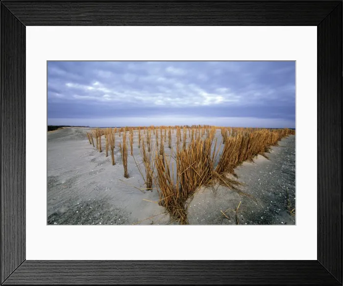 Framed Print : Beach in the early morning Framed Print : Beach in the early morning
