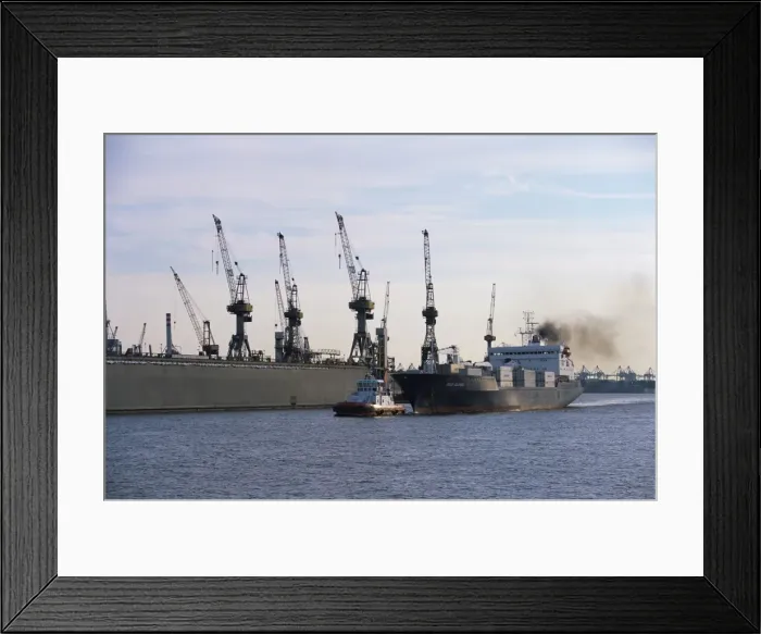 Framed Print : Cranes, Port of Hamburg Framed Print : Cranes, Port of Hamburg