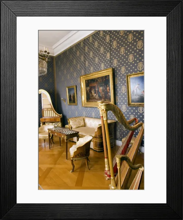 Framed Print : Music room at the Residenzmuseum Framed Print : Music room at the Residenzmuseum