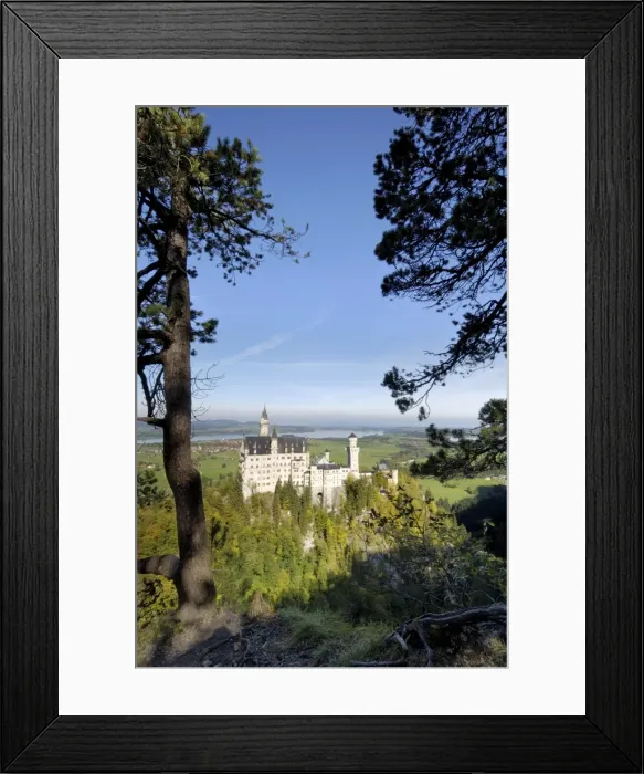 Framed Print : Schloss Neuschwanstein Framed Print : Schloss Neuschwanstein