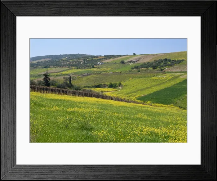 Framed Print : Countryside in middle of the island Framed Print : Countryside in middle of the island