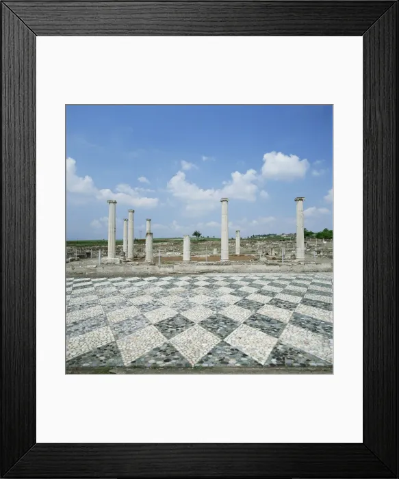 Framed Print : House of the Lion Hunt with exquisite floor mosaics Framed Print : House of the Lion Hunt with exquisite floor mosaics