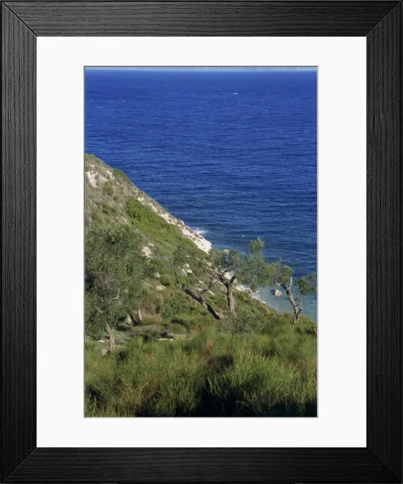 Framed Print : Coastline with trees on slope and blue sea beyond on Paxos Framed Print : Coastline with trees on slope and blue sea beyond on Paxos