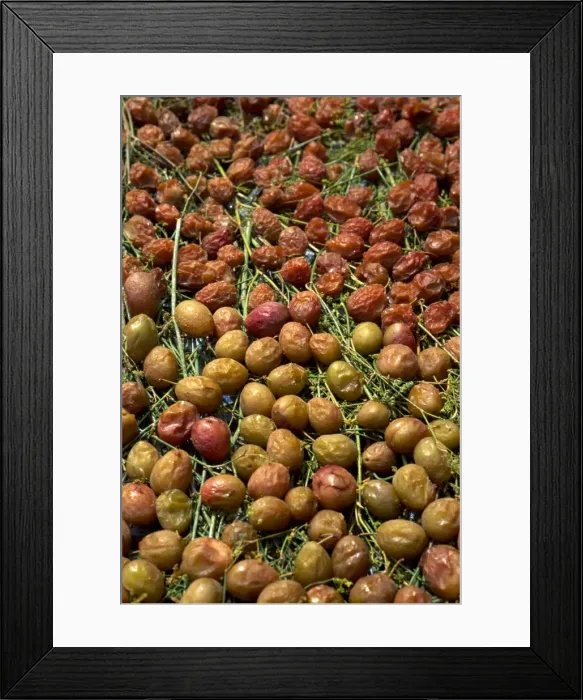 Framed Print : Plums drying on Alonnisos Framed Print : Plums drying on Alonnisos