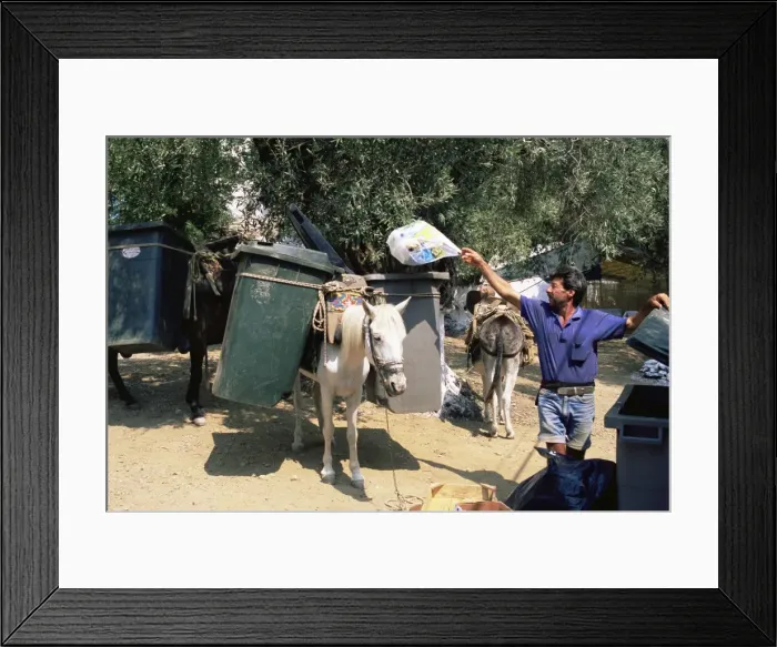 Framed Print : Mule used for collecting rubbish Framed Print : Mule used for collecting rubbish