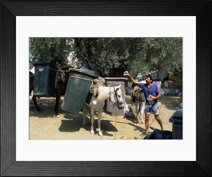 Framed Print : Mule used for collecting rubbish Framed Print : Mule used for collecting rubbish