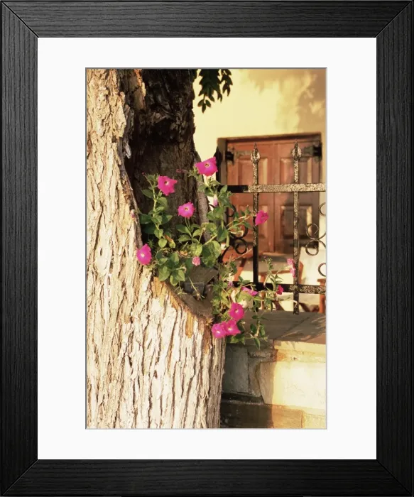 Framed Print : Pelion, Greece Framed Print : Pelion, Greece