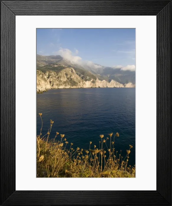 Framed Print : Seed heads Framed Print : Seed heads