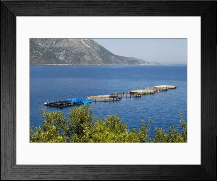Framed Print : Fish farm for sea bass and sea bream near Vathy (Vathi) Framed Print : Fish farm for sea bass and sea bream near Vathy (Vathi)