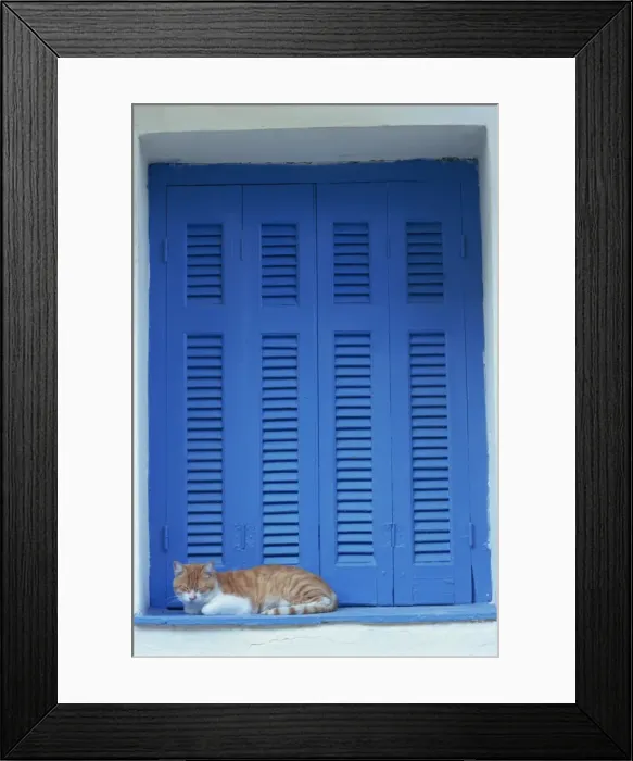 Framed Print : Cat enjoying a nap Framed Print : Cat enjoying a nap