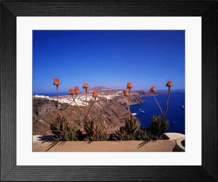Framed Print : Red flowers and the Caldera Framed Print : Red flowers and the Caldera
