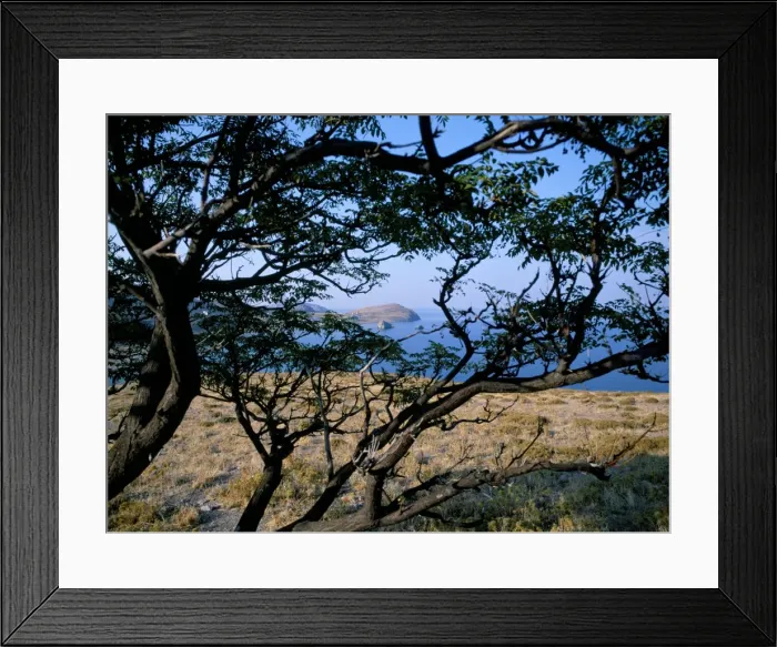 Framed Print : Limnos (Lemnos) Framed Print : Limnos (Lemnos)