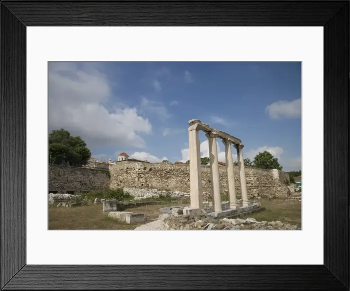 Framed Print : Library of Adrianus Framed Print : Library of Adrianus