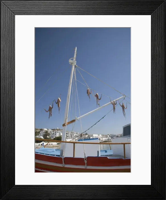 Framed Print : Octopus drying Framed Print : Octopus drying