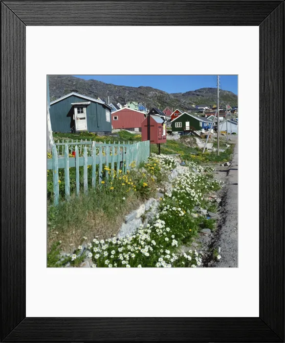 Framed Print : Typical wooden houses with fences at Julianehab Framed Print : Typical wooden houses with fences at Julianehab