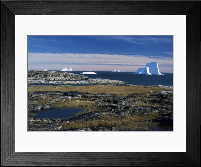Framed Print : Shore platform with autumn tundra Framed Print : Shore platform with autumn tundra
