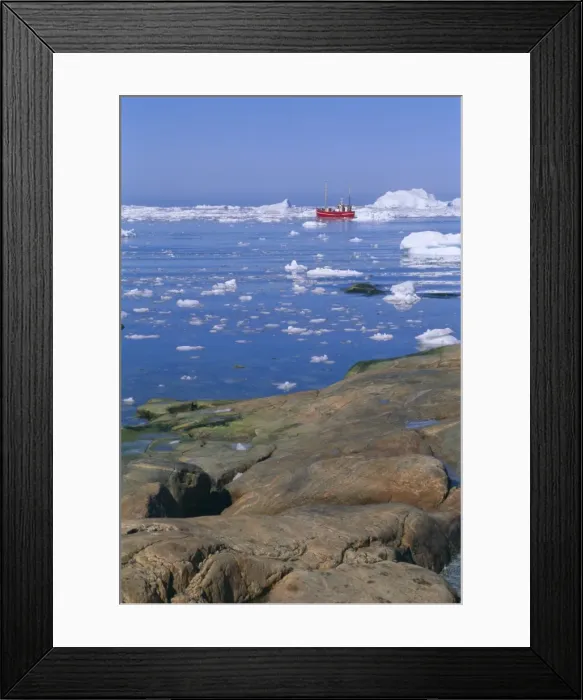 Framed Print : Icebergs from the icefjord Framed Print : Icebergs from the icefjord
