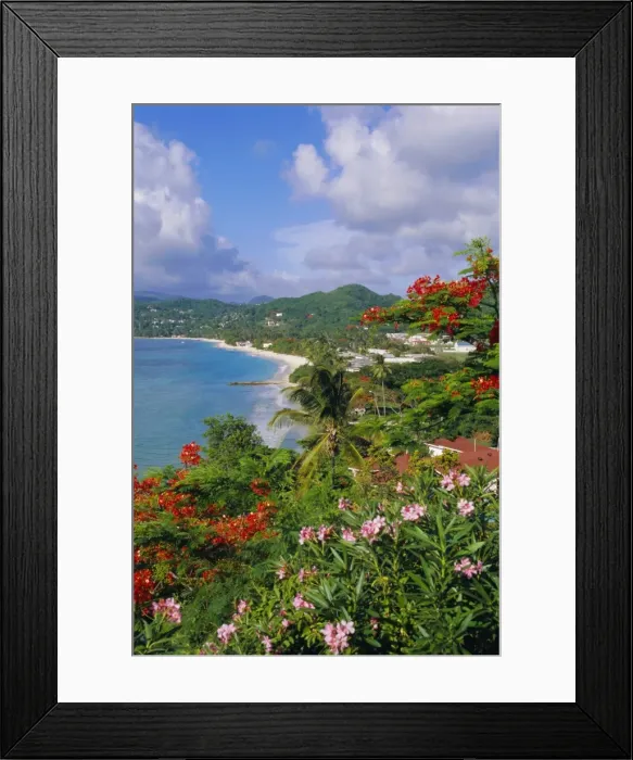 Framed Print : Grand Anse Beach Framed Print : Grand Anse Beach