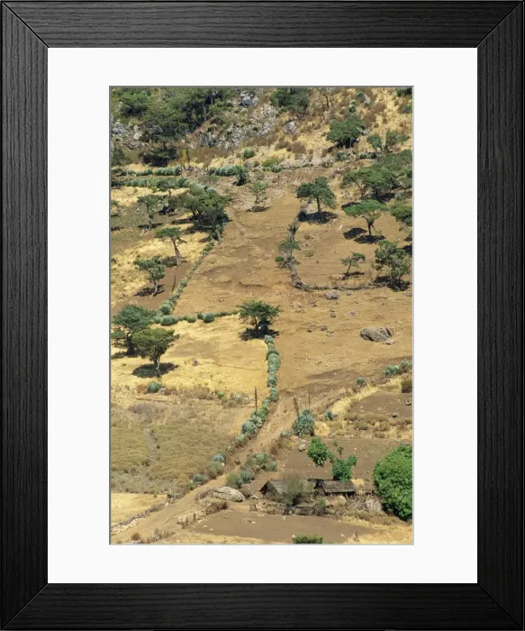 Framed Print : Landscape of trees and cacti in harsh area of Todos Framed Print : Landscape of trees and cacti in harsh area of Todos