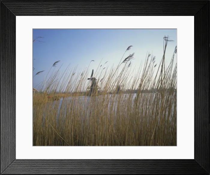 Framed Print : Canal and windmills at Zaause Schaus Framed Print : Canal and windmills at Zaause Schaus