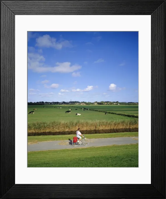 Framed Print : Cycling on the island of Schiermonnikoog Framed Print : Cycling on the island of Schiermonnikoog