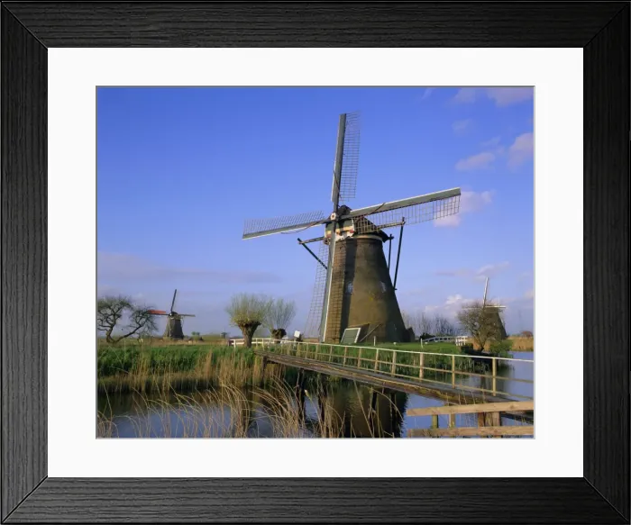 Framed Print : Windmills along the canal Framed Print : Windmills along the canal